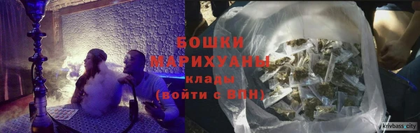амф Вяземский