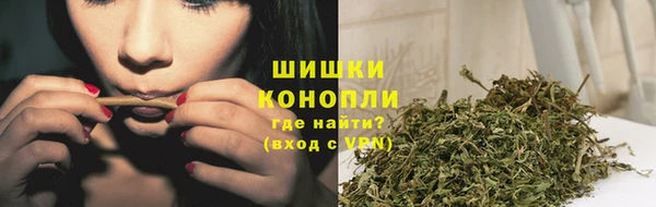 амф Володарск