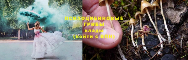 амф Володарск