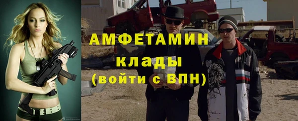 амф Вяземский