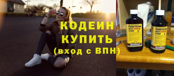 амф Вяземский
