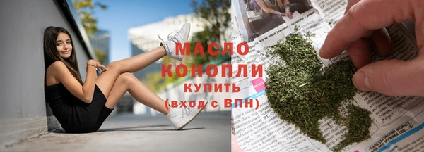 амф Вяземский