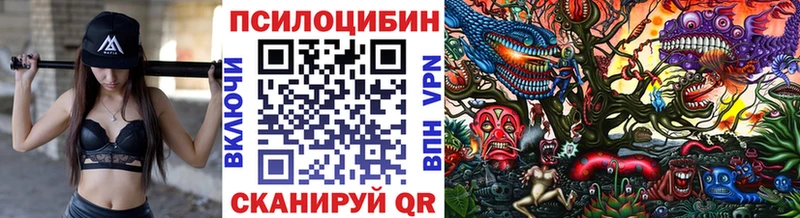 сколько стоит  Южно-Сахалинск  Псилоцибиновые грибы мицелий 